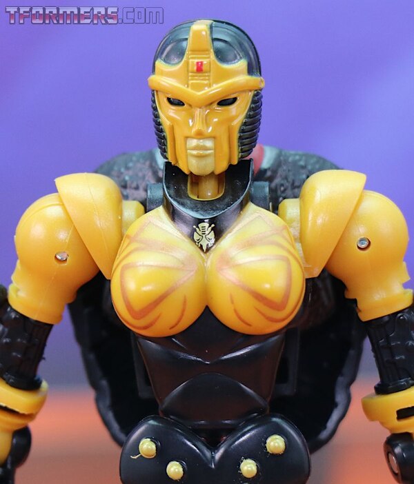 Transformers Kingdom Blackarachnia  (9 of 46)